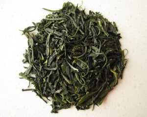 Green Tea - Camellia sinensis Kuntze