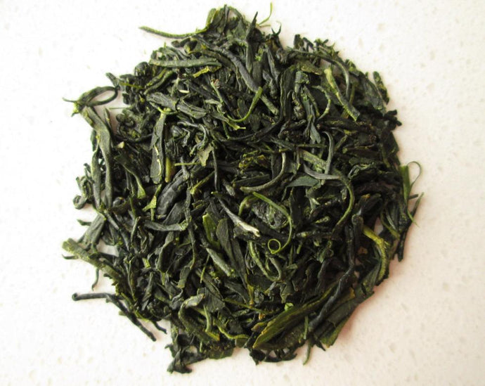 Green Tea - Camellia sinensis Kuntze